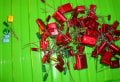 DSC03423.jpg