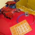 DSC03491.jpg