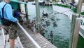 tmp_11639-IMG_20150118_1245081656300777.jpg