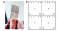 Matrix - Fig 2.jpg