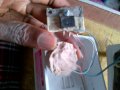 IMG-20141001-00099.jpg