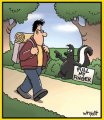 skunk.jpg
