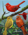 upload_2015-3-11_5-45-58.png