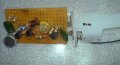 DSC00607.JPG