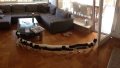 1k0z7-caterpillar-lg.jpg