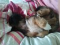 IMG_20130306_113030.jpg