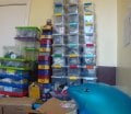 DSC03854.jpg