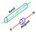 Reed-Magnet-Orientation.jpg