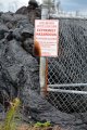 Pahoa Lava Flow.jpg
