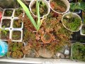 DSC04089.JPG