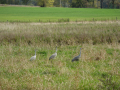 2013-10-12 13-16-07.png