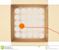 contacts inside-carton-box.jpg contacts inside-carton-box.jpg
