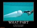what-part-guns-ballistics-physics-pool-swimming-demotivational-posters-1349376230.jpg what-part-guns-ballistics-physics-pool-swimming-demotivational-posters-1349376230.jpg