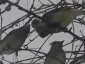 my pics 005.jpg