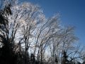 my pix 009.jpg