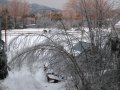 my pix 019.jpg