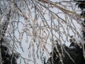 my pix 026.jpg