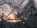 my pix 030.jpg