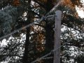 my pix 020.jpg