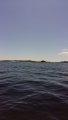 20150620_133946.jpg