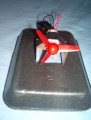 Hovercraft B 004.JPG