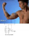 Electrode Pad Skin Measure-03_ScottWang.jpg Electrode Pad Skin Measure-03_ScottWang.jpg
