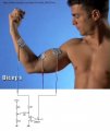 Electrode Pad Skin Measure_ScottWang.jpg Electrode Pad Skin Measure_ScottWang.jpg