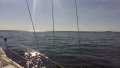 20150814_103619.jpg