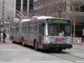 Trolley Bus.jpg