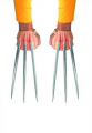 Image00002.png