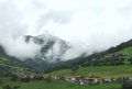 IMG_1115.jpg