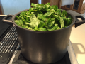 IMG_1542.png IMG_1542.png