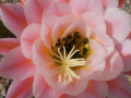 upload_2015-10-18_19-15-46.png upload_2015-10-18_19-15-46.png