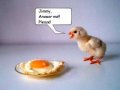 chicken.jpg