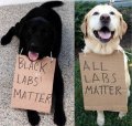 alllabsmatter.jpg
