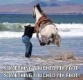 something touched my foot.jpg