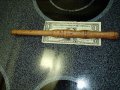 Red Oak Wand.JPG