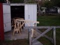 sawhorse herd.JPG