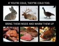 Cook-Animals.jpg