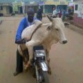 Cowboy Outrider.jpg