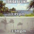 Florida Weather.jpg