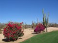 IMG_1329.JPG