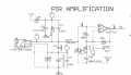 PIR Amplification.png
