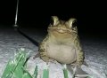 IMG-20160521-WA0013.jpg