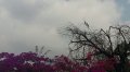 dd7446dd-4664-44b1-ad4c-268183ca9ac2.jpg