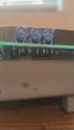 20160610_181058_1.jpg