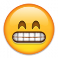 Emoji Smiley-16.png