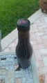 20160820_192059.jpg