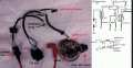CDI pic1.gif