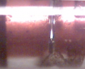 upload_2016-9-4_10-45-47.png